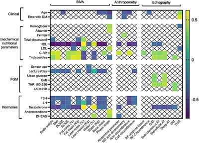 Body composition and sexual hormones for the glucose control of autoimmune diabetes in males: are they necessary to predict diabetes-related complications?